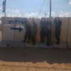talll_cohen Altpins Profile Picture