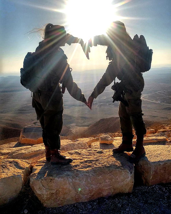 talll_cohen instagram image archive image