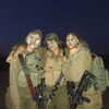 talll_cohen Altpins Profile Picture