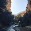 talll_cohen Altpins Profile Picture