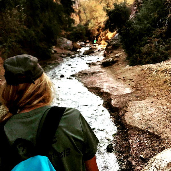 talll_cohen instagram image archive image