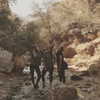 talll_cohen Altpins Profile Picture
