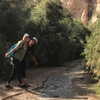 talll_cohen Altpins Profile Picture