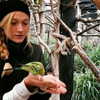 talll_cohen Altpins Profile Picture