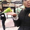 talll_cohen Altpins Profile Picture