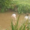 talll_cohen Altpins Profile Picture