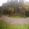talll_cohen Altpins Profile Picture