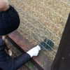 talll_cohen Altpins Profile Picture