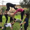 talll_cohen Altpins Profile Picture