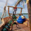 talll_cohen Altpins Profile Picture