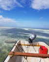 talll_cohen Altpins Profile Picture