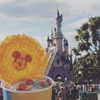 talll_cohen Altpins Profile Picture
