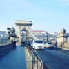talll_cohen Altpins Profile Picture