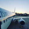 talll_cohen Altpins Profile Picture