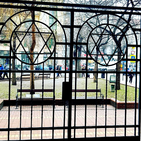 talll_cohen instagram image archive image