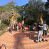 talll_cohen Altpins Profile Picture