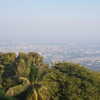 talll_cohen Altpins Profile Picture