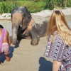 talll_cohen Altpins Profile Picture