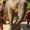 talll_cohen Altpins Profile Picture