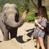 talll_cohen Altpins Profile Picture