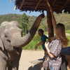 talll_cohen Altpins Profile Picture