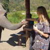 talll_cohen Altpins Profile Picture