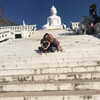 talll_cohen Altpins Profile Picture