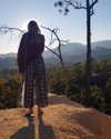 talll_cohen Altpins Profile Picture