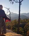 talll_cohen Altpins Profile Picture