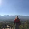 talll_cohen Altpins Profile Picture