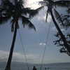 talll_cohen Altpins Profile Picture