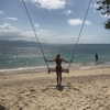 talll_cohen Altpins Profile Picture