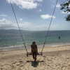 talll_cohen Altpins Profile Picture