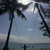 talll_cohen Altpins Profile Picture