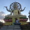 talll_cohen Altpins Profile Picture