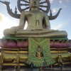 talll_cohen Altpins Profile Picture