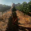talll_cohen Altpins Profile Picture