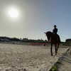 talll_cohen Altpins Profile Picture