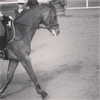 talll_cohen Altpins Profile Picture