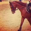 talll_cohen Altpins Profile Picture