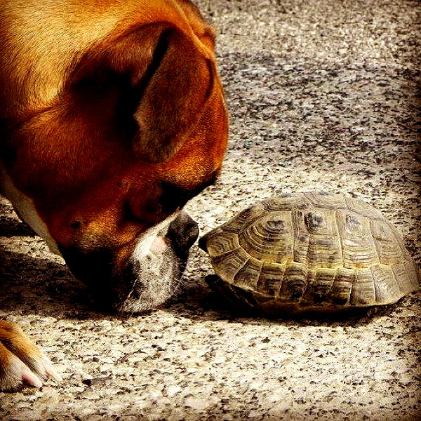 talll_cohen instagram image archive image