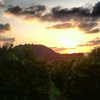 talll_cohen Altpins Profile Picture