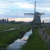 talll_cohen Altpins Profile Picture