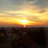 talll_cohen Altpins Profile Picture