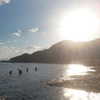 talll_cohen Altpins Profile Picture