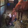 talll_cohen Altpins Profile Picture