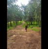 tamar_nk Altpins Profile Picture