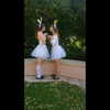 tamar_nk Altpins Profile Picture