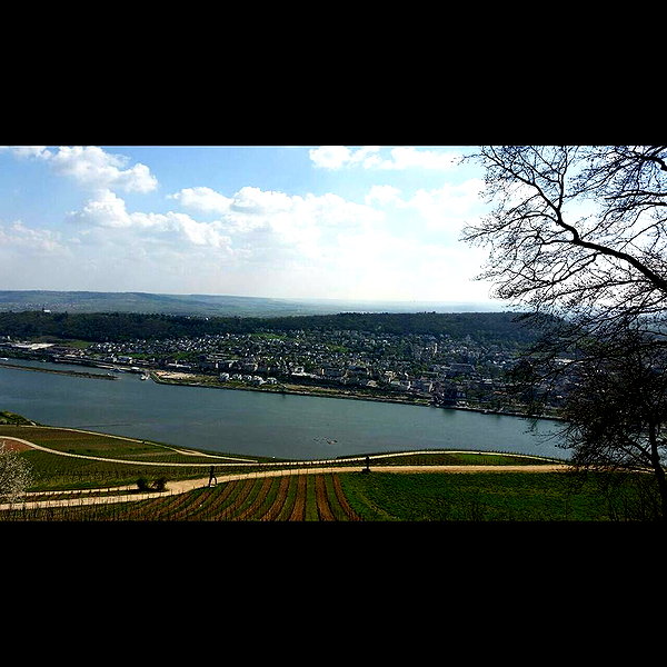 tamar_nk instagram image archive image