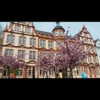 tamar_nk Altpins Profile Picture